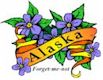 Forget-Me-Not, Alaska's state flower