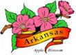 Apple Blossom, Arkansas' state flower