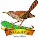 Cactus Wren, Arizona's state bird