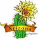 Saguaro Blossom, Arizona's state flower