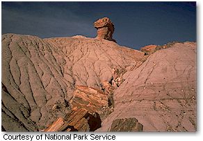 Petrified Forest National Park