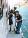 Southern California sport fishing, Newport Landing