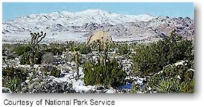 Joshua Tree National Park