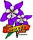 Rocky Mountain Columbine, Colorado's state flower