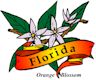 Orange Blossom, Florida's state flower