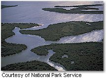 Canaveral National Seashore