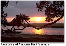 Cumberland Island National Seashore