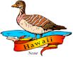Nene, Hawaii's state bird