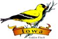 Goldfinch, Iowa's state bird