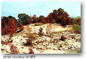 Indiana Dunes National Lakeshore