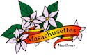 Mayflower, Massachusetts' state flower