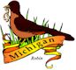Robin, Michigan's state bird