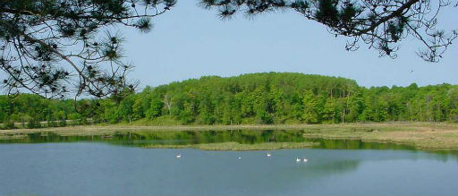 Tamarac National Wildlife Refuge