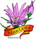 Bitterroot, Montana's state flower
