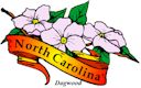Dogwood, North Carolina's state flower