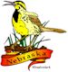 Western Meadowlark, Nebraska's state bird
