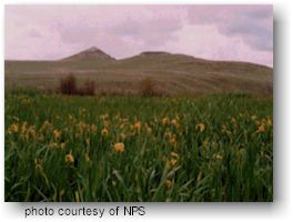 Agate Fossil Beds National Monument