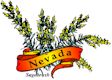Sagebrush, Nevada's state flower