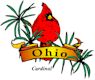 Cardinal, Ohio's state bird