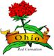 Red Carnation, Ohio's state flower