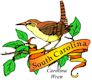 Carolina Wren, South Carolina's state bird