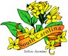 Carolina Jessamine, South Carolina's state flower