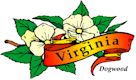 Dogwood, Virginia's state flower