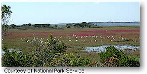 Assateague Island National Seashore