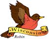 Robin, Wisconsin's state bird