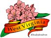 Rhododendron, West Virginia's state flower